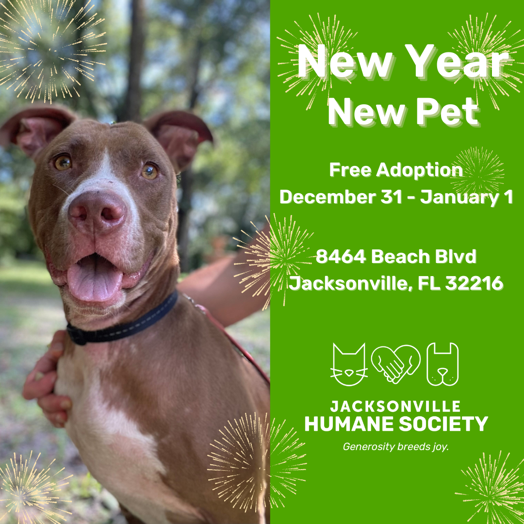 New Year, New Pet Free Adoption Event Jacksonville Humane Society