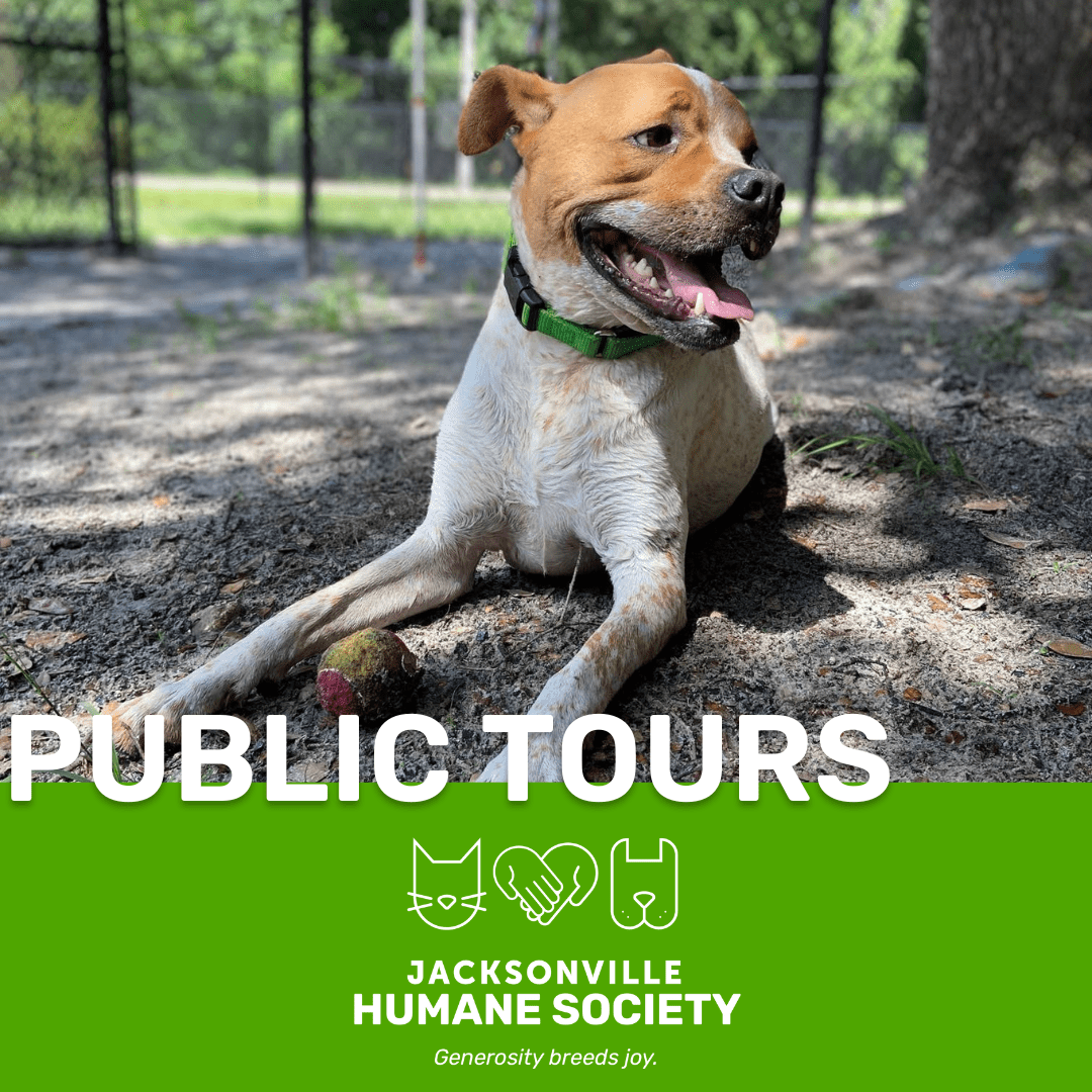 Jacksonville Humane Society