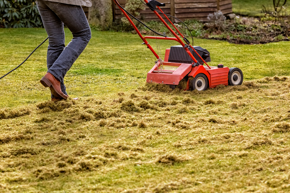 What Is A Lawn Power Rake at Dennis Stone blog