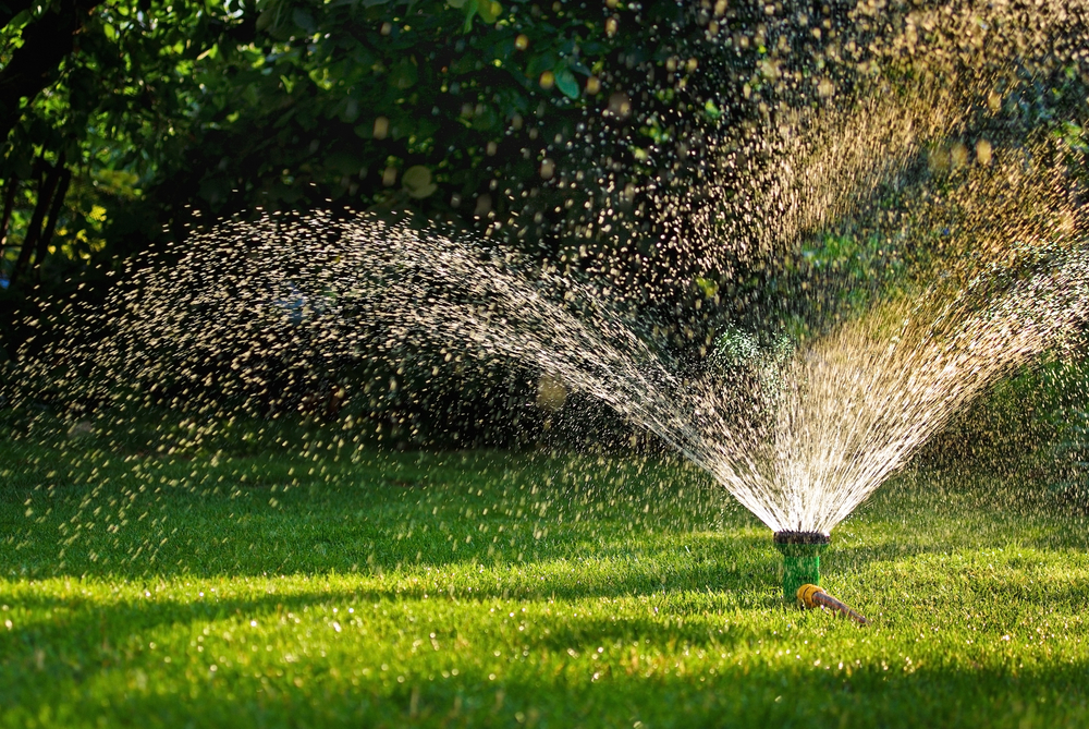 How to properly water your lawn this summer in Sioux City