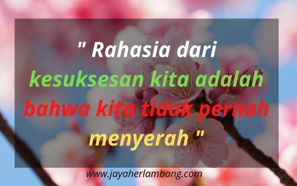 Story Wa Keren Terbaru 2021 FREE DOWNLOAD