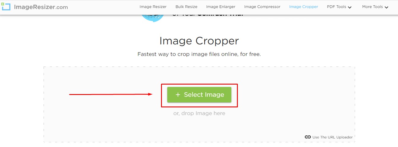 Cara Mengubah Ukuran Foto Menjadi 4x6 Online , 2X3 , 3X4