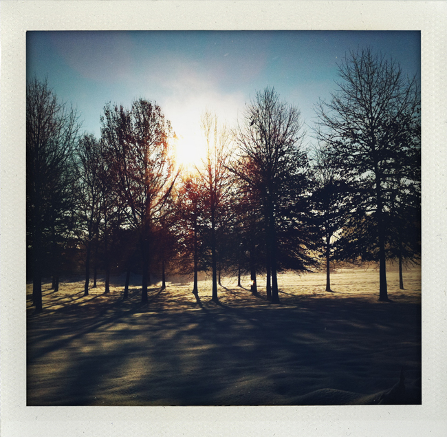 Winter in New Jersey Jay Bryant's Domain