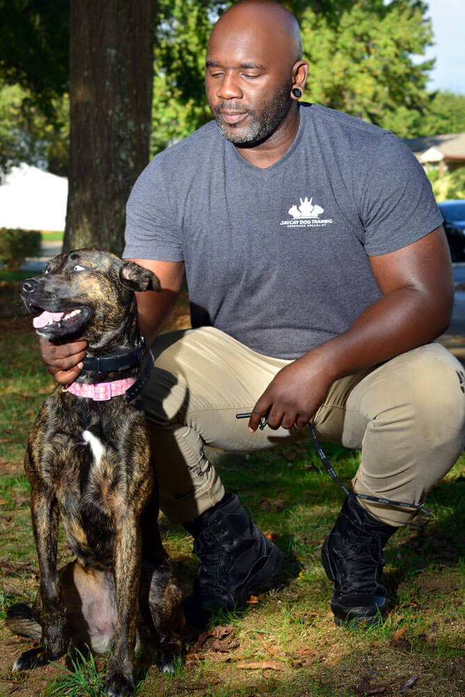 About Us Obedience Training for All Dogs