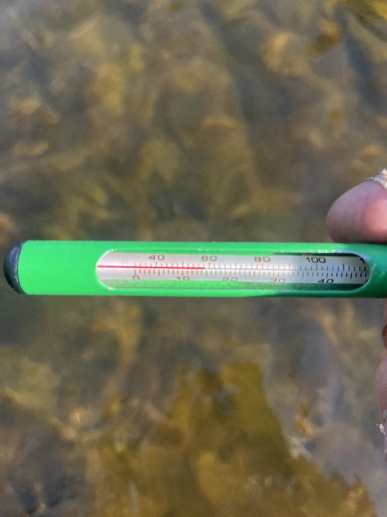 Discover How Water Temperatures Affect Trout Behavior Jay Clark Fly