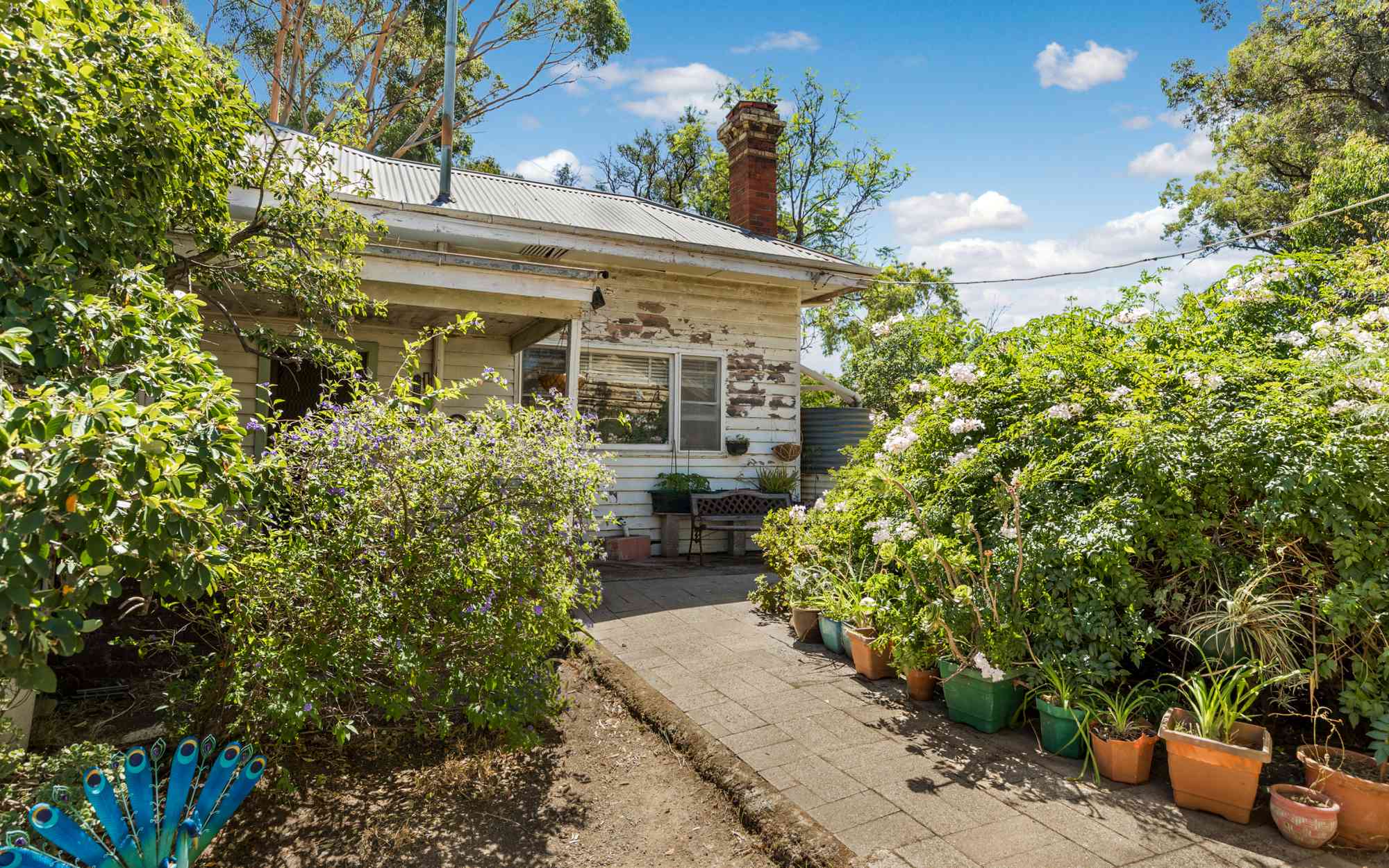 55 Condon Street, Kennington SOLD Jayde Neate Real Estate