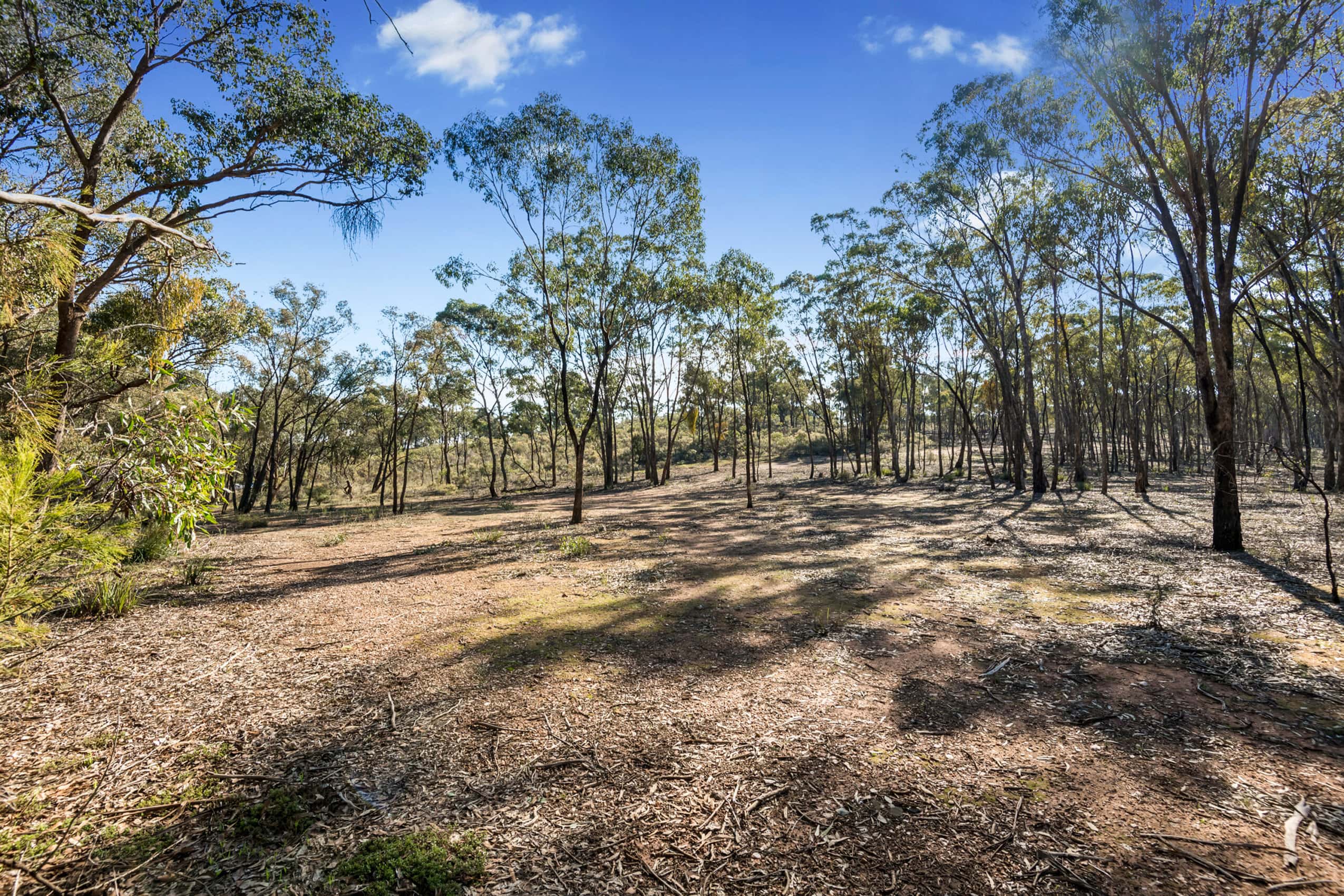 CNR CRUSOE RD AND ECHIDNA LANE, KANGAROO FLAT 459,000 SOLD Jayde