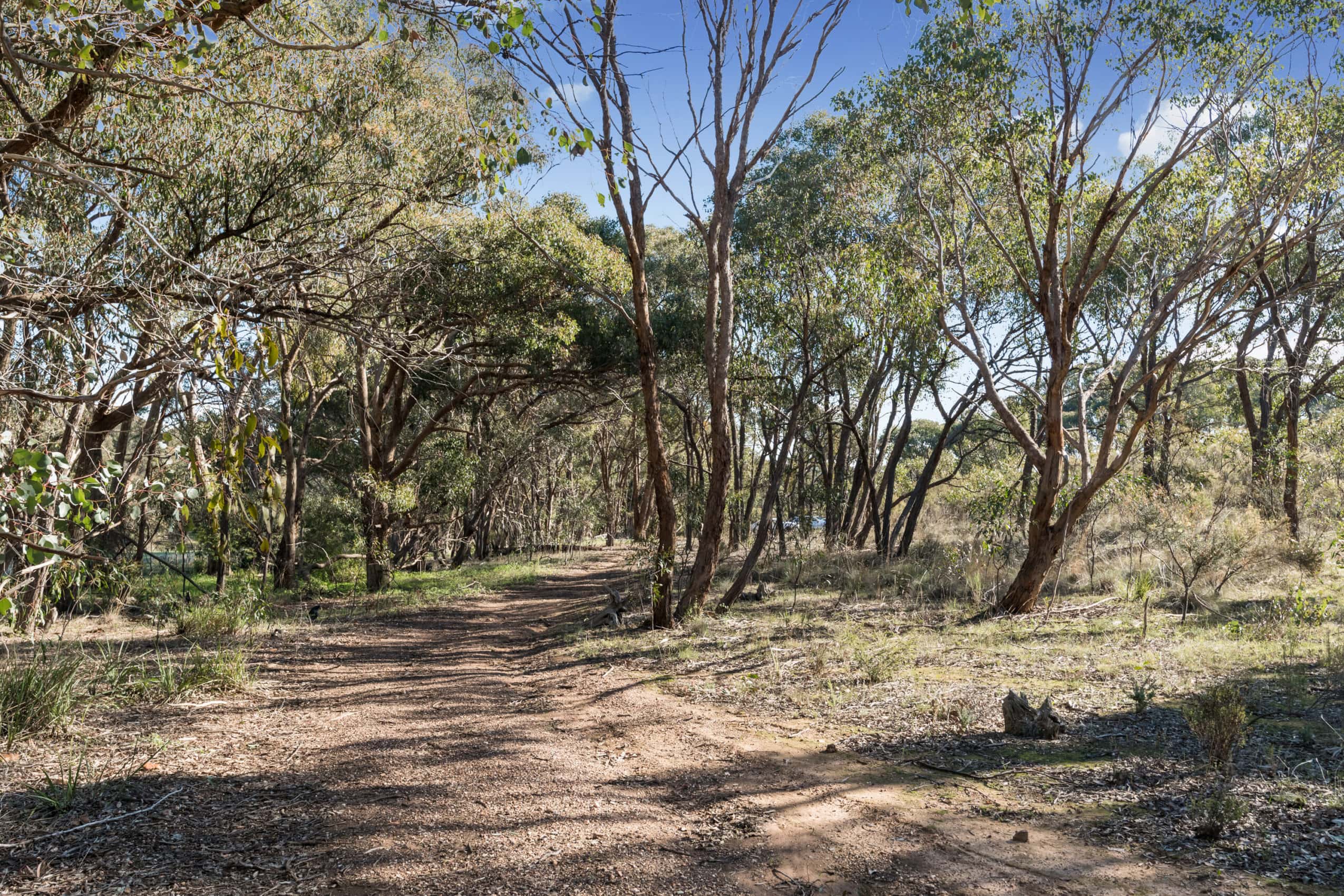 CNR CRUSOE RD AND ECHIDNA LANE, KANGAROO FLAT 459,000 SOLD Jayde