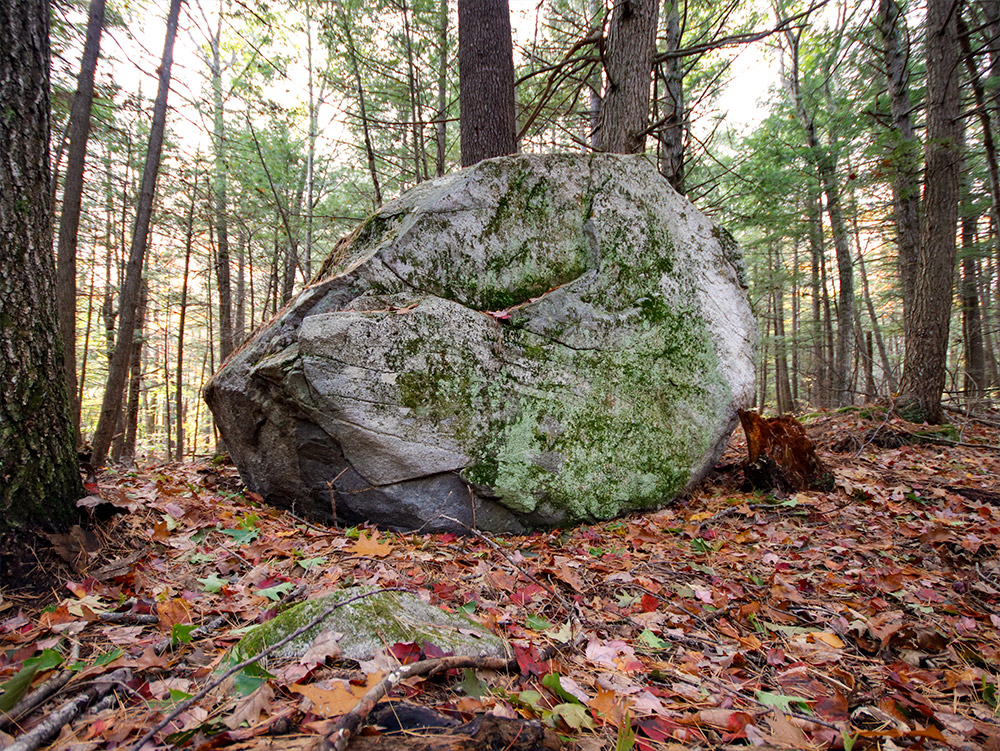 Sanders Hill Trail, Rome, Maine Jay Gaulard