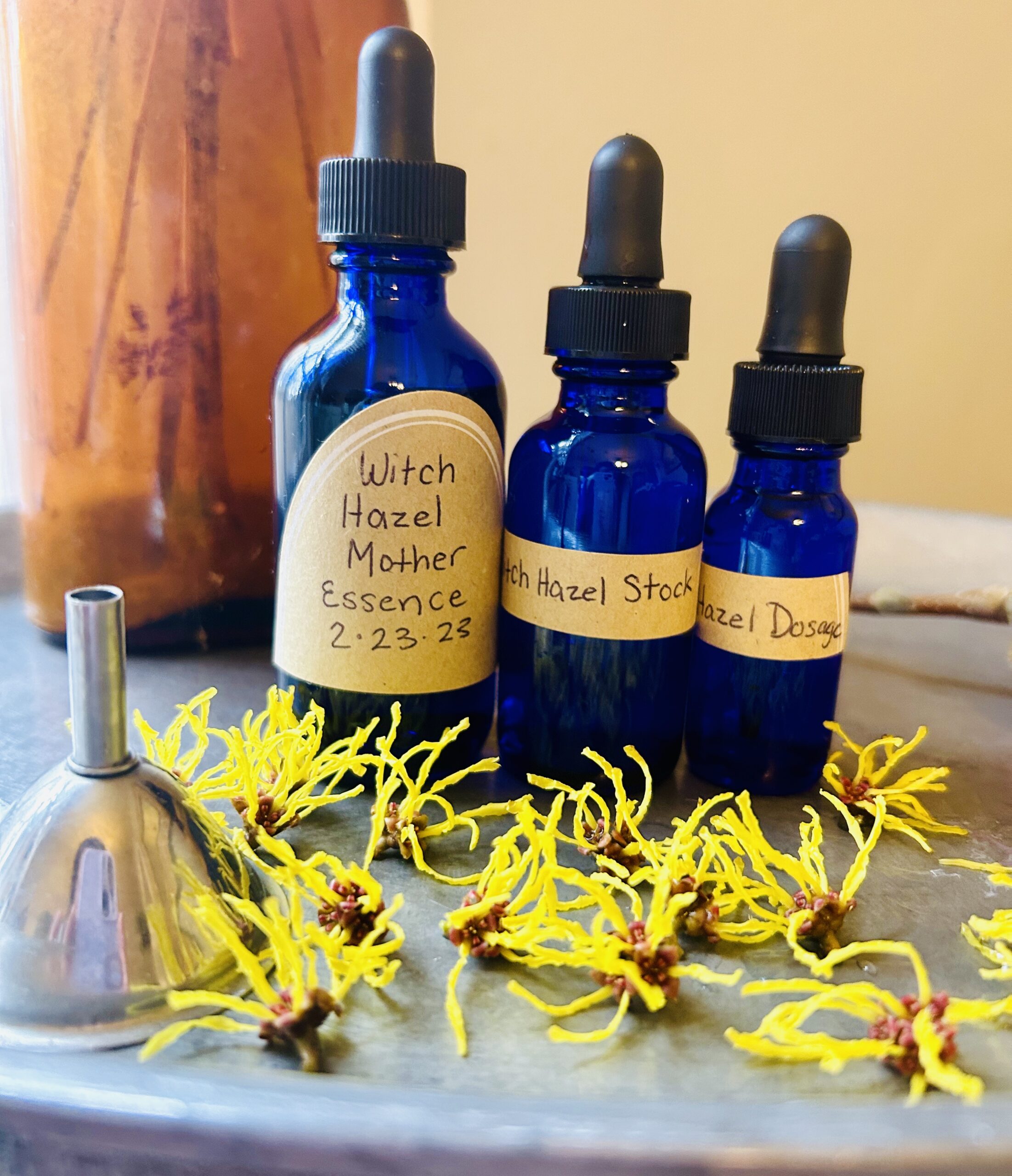 How to Make A Flower Essence JAYNE'S FARMSTEAD