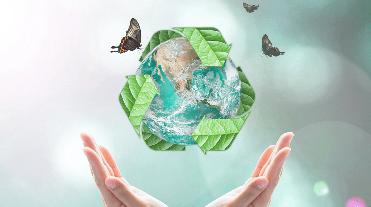 Eco Friendly Design Tips For Your Landscape Designs Jay Scotts Collection