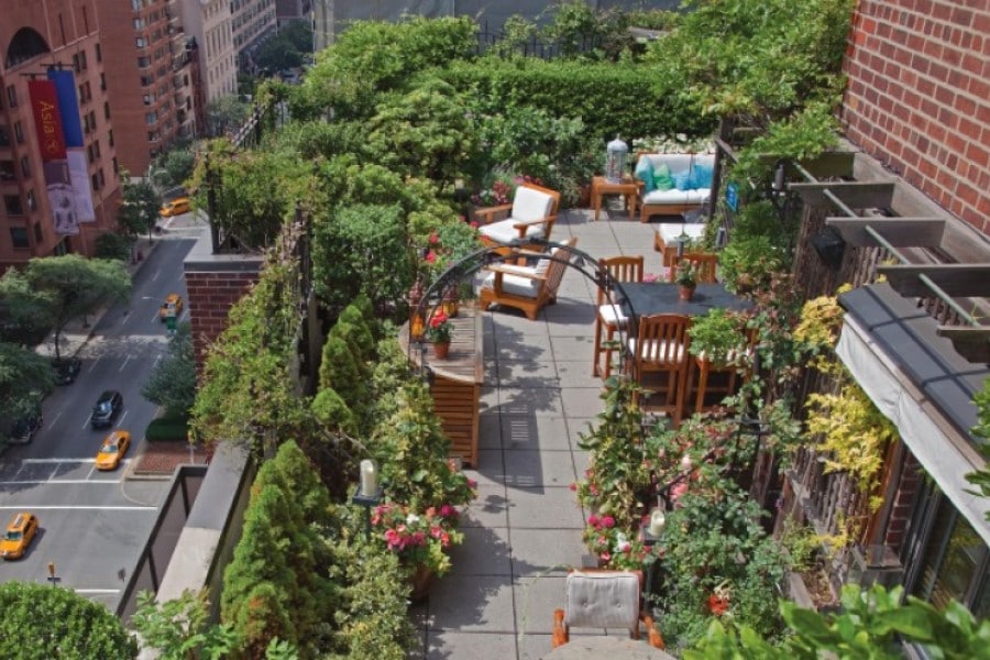 Terrace Garden Ideas Best Plants For Rooftops And Privacy Jay Scotts