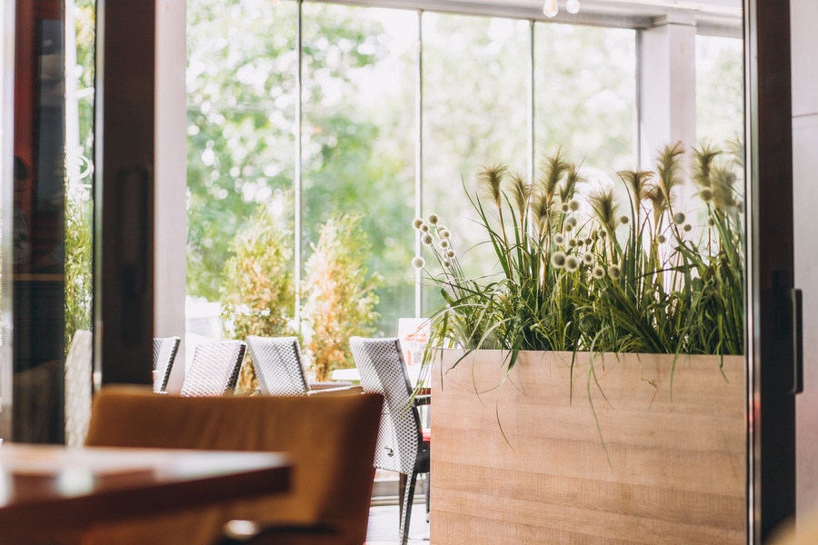 Best Plants for Restaurants Planter Decor And Patio Design