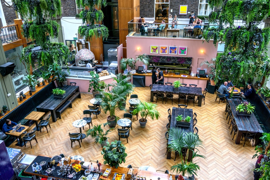 Best Plants for Restaurants Planter Decor And Patio Design