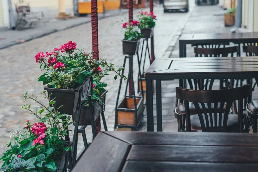 Best Plants for Restaurants Planter Decor And Patio Design