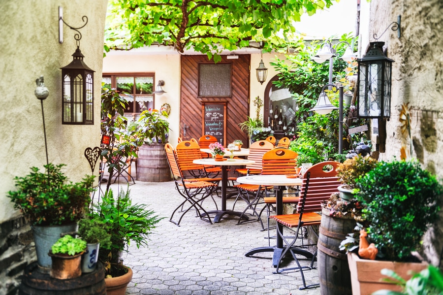 Best Plants for Restaurants Planter Decor And Patio Design