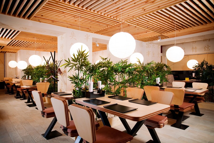 Best Plants for Restaurants Planter Decor And Patio Design