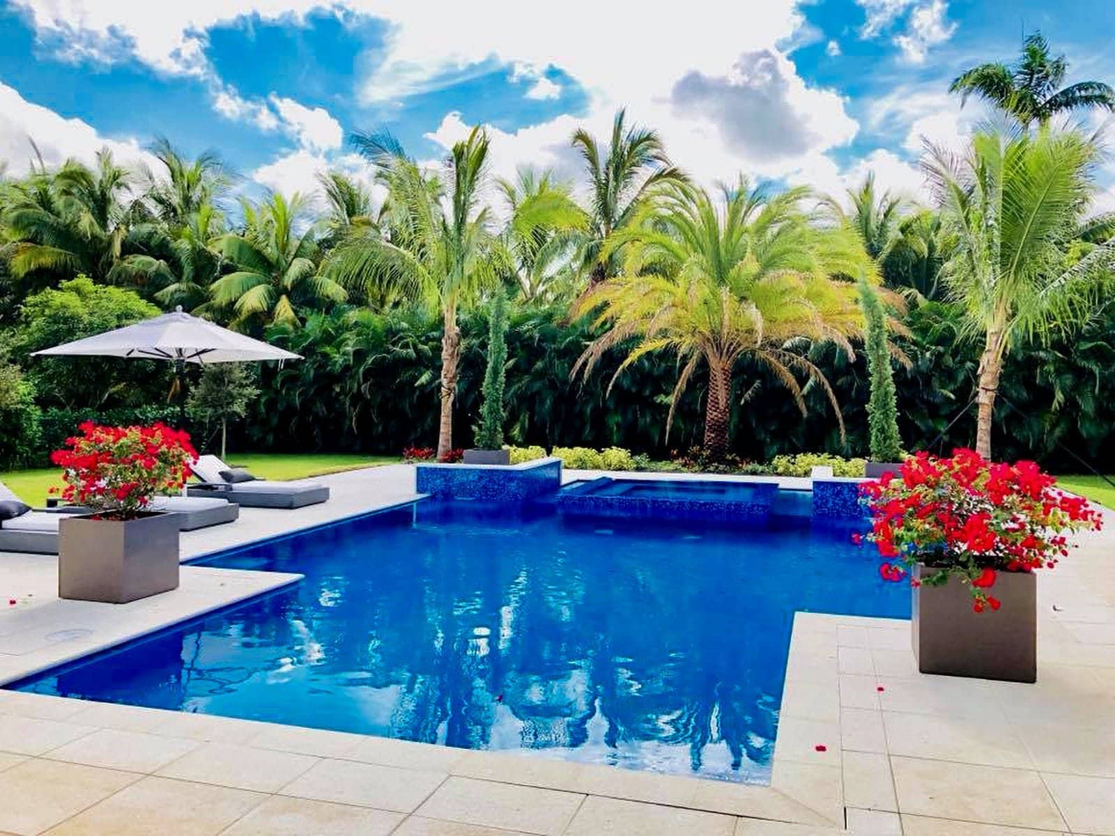 5 Stunning Pool Planter Ideas to Enhance Your Pool Area Jay Scotts