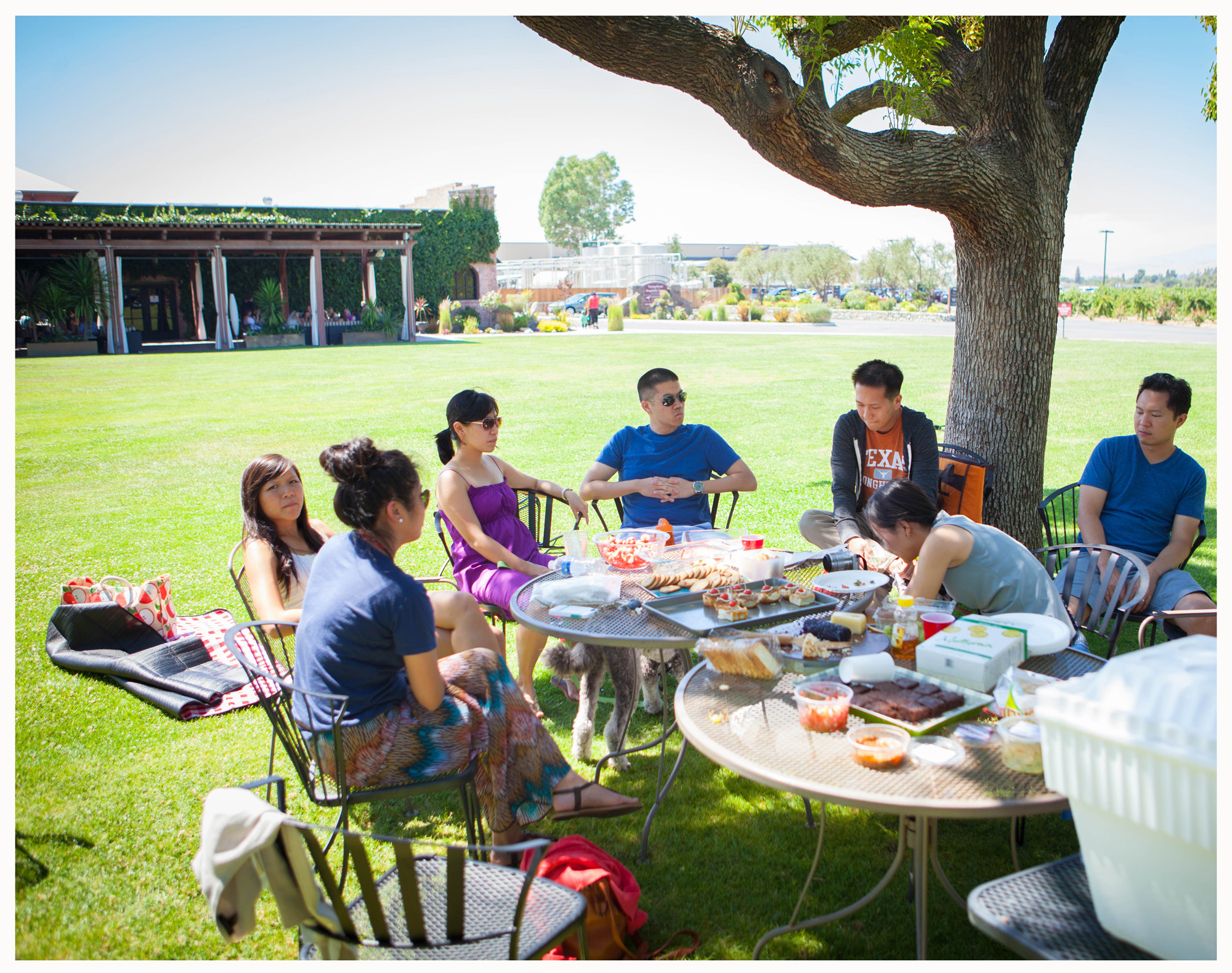 Weekend Picnic Jay's Cup