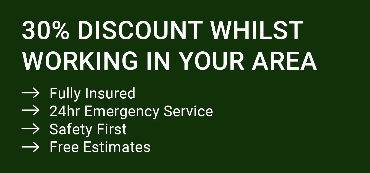 Tree Surgery & Tree Care Experts Jay Tree Care