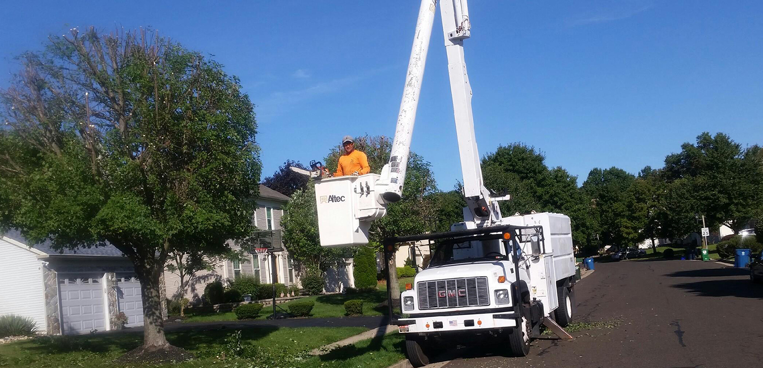 Home Jay Tree Service