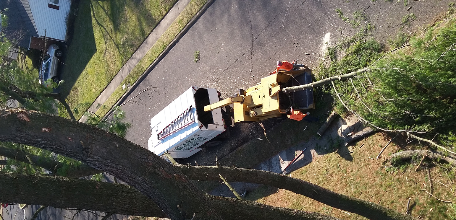 Home Jay Tree Service