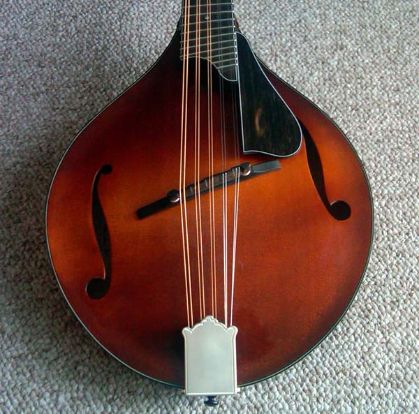 mandolin out of tune with itself?