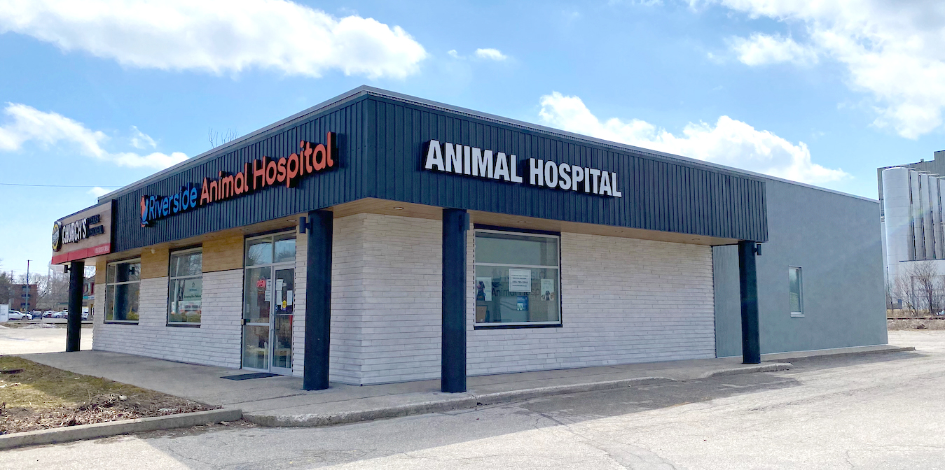 Veterinary Clinic, Guelph, ON Joel Barlett Architect Inc.