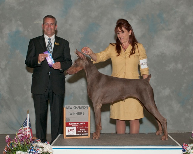 J Bar S AKC Dobermans Where Dobermans RULE! Doberman Breeder in Missouri