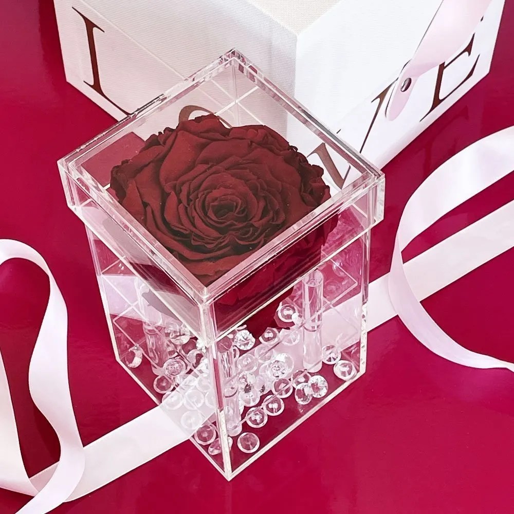 Large Single Preserved Rose in Acrylic Box JBB & CO.
