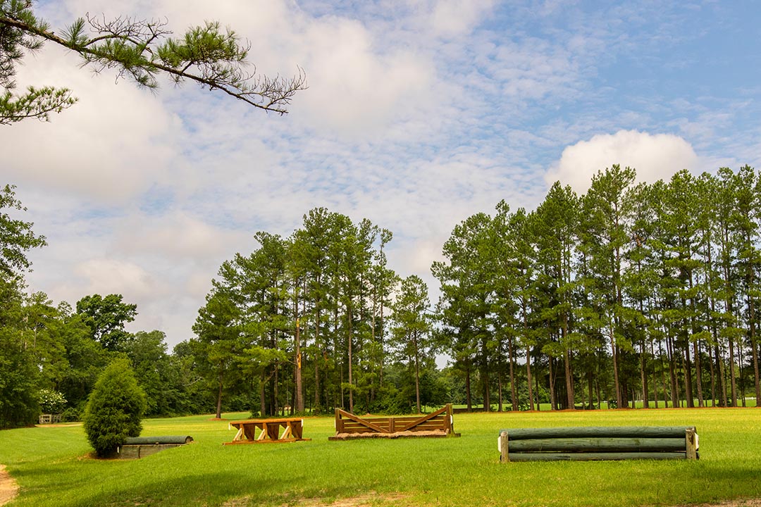 Jumping Branch is Home Jumping Branch Farm