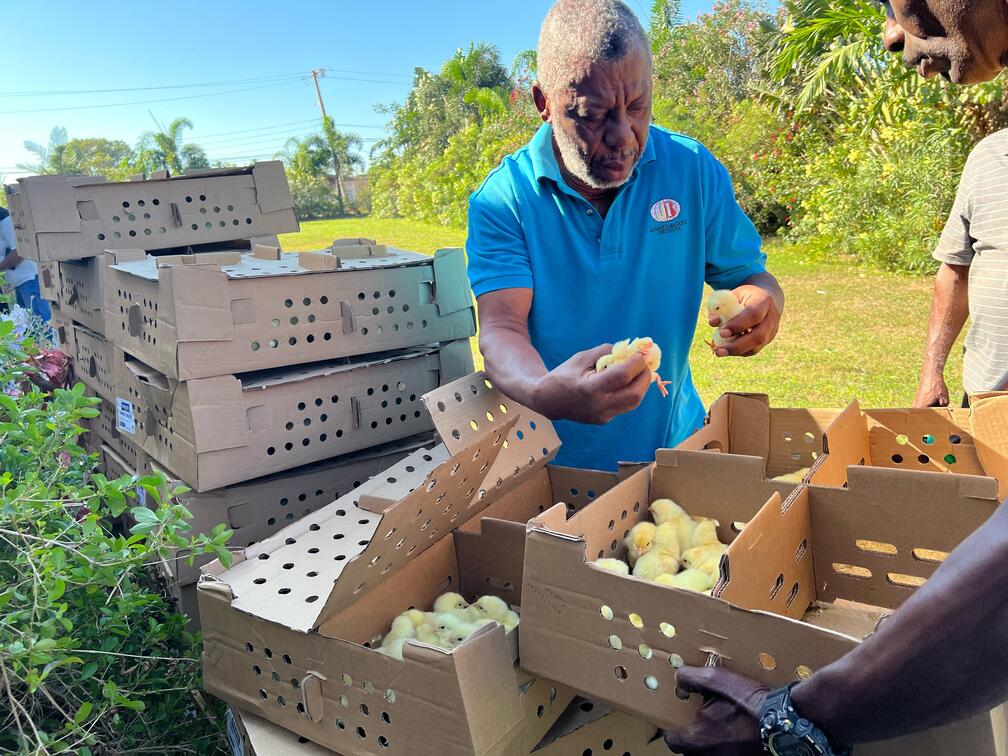 Home Jamaica Bauxite Institute