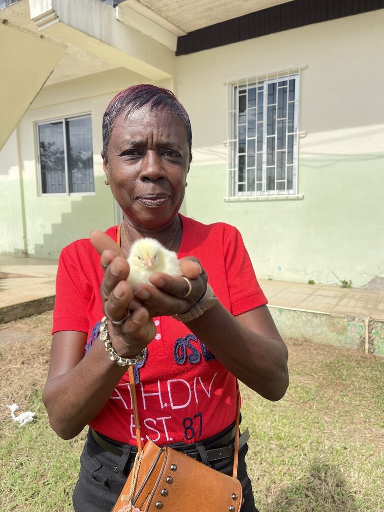 Home Jamaica Bauxite Institute