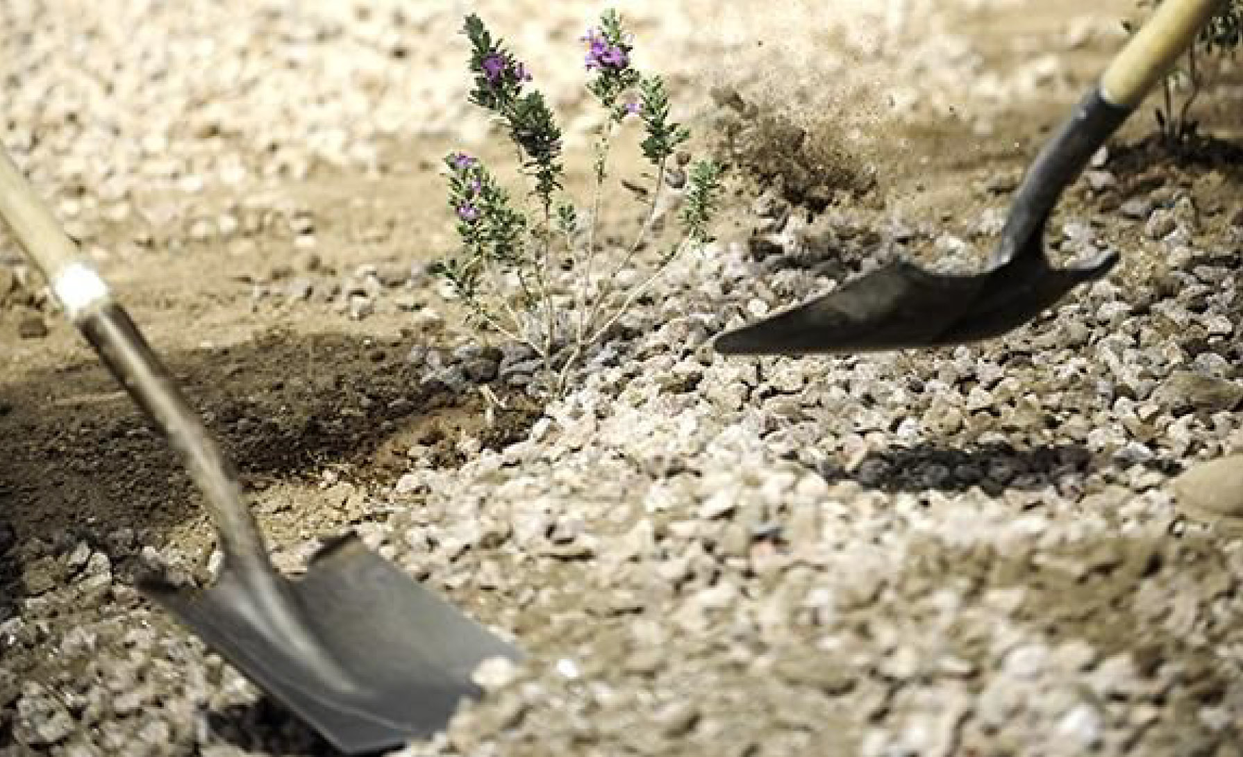 landscapingtools JB Irrigation Houston Sprinkler Repair