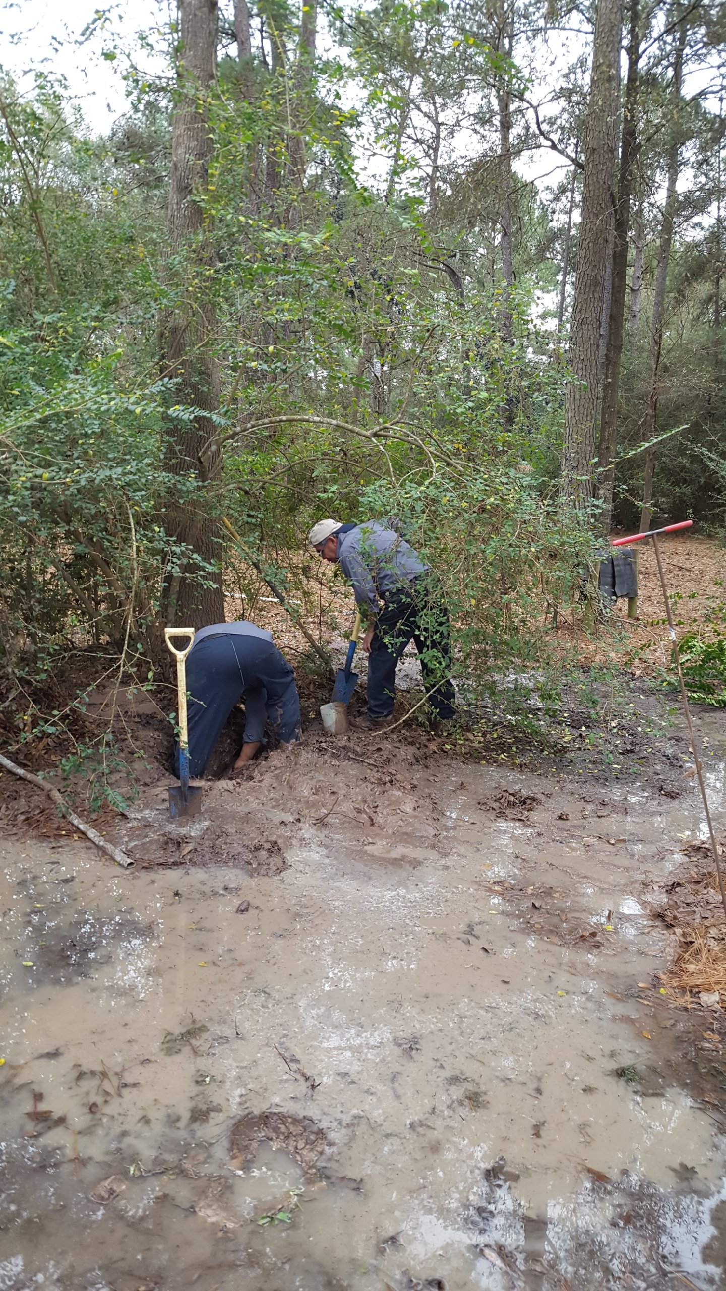 JBIrrigation JB Irrigation Houston Sprinkler Repair