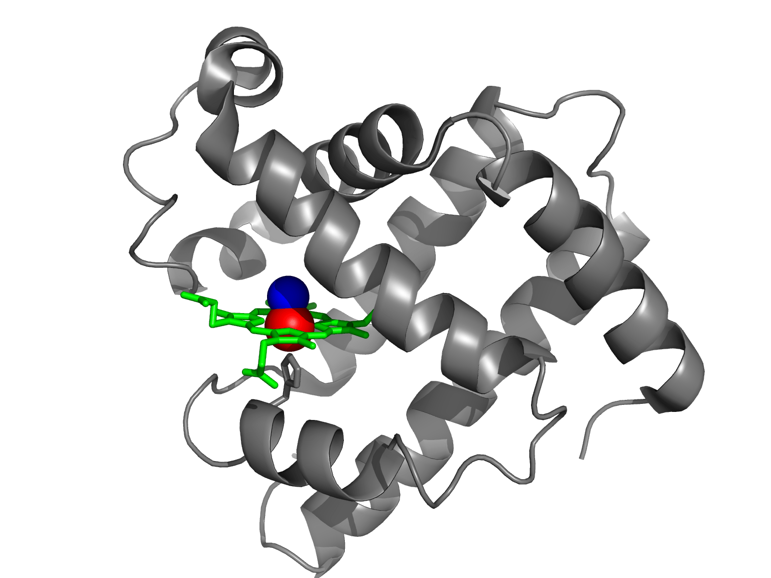 [DIAGRAM] Structure Of Myoglobin Diagram - MYDIAGRAM.ONLINE