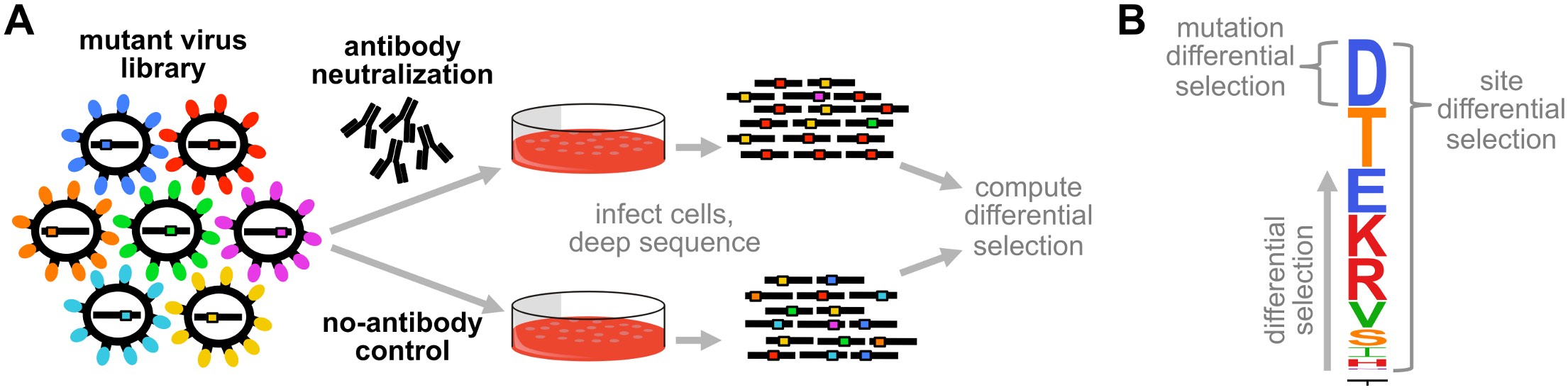 Differential selection — dms_tools2 2.6.6 documentation