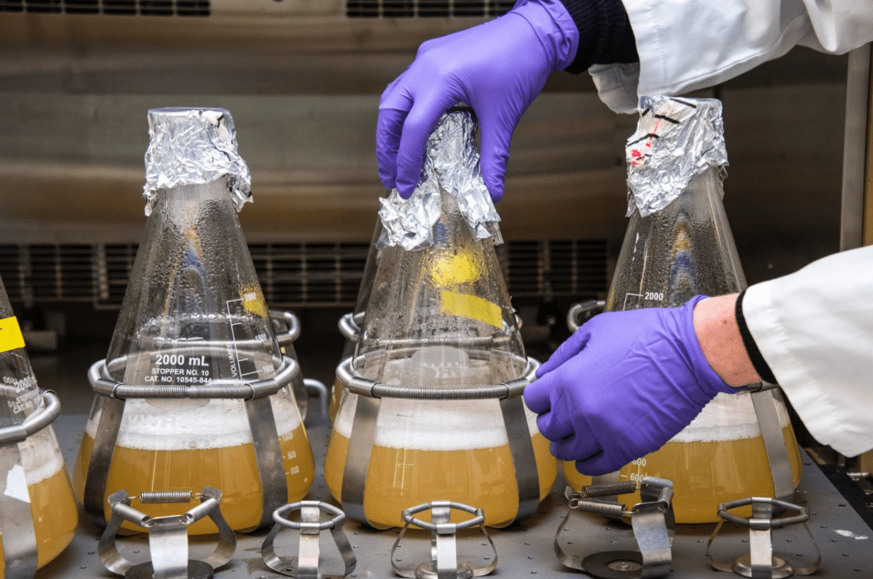 How Do Bio Enzymatic Cleaners Clean? JBMbio