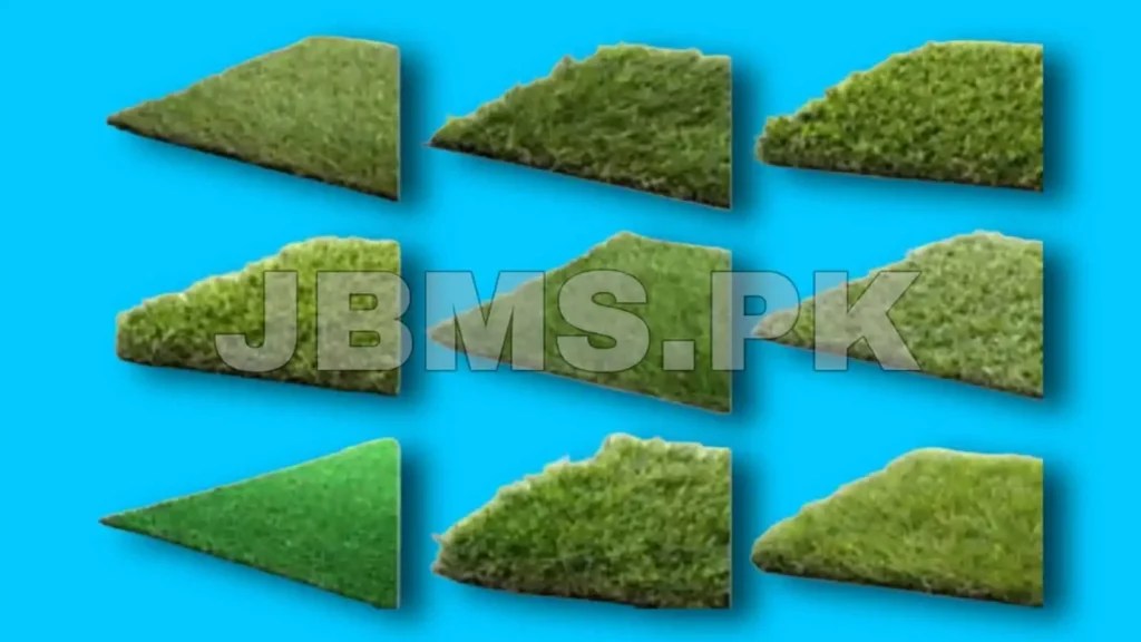 Artificial Grass Price in Pakistan October 2024 JBMS