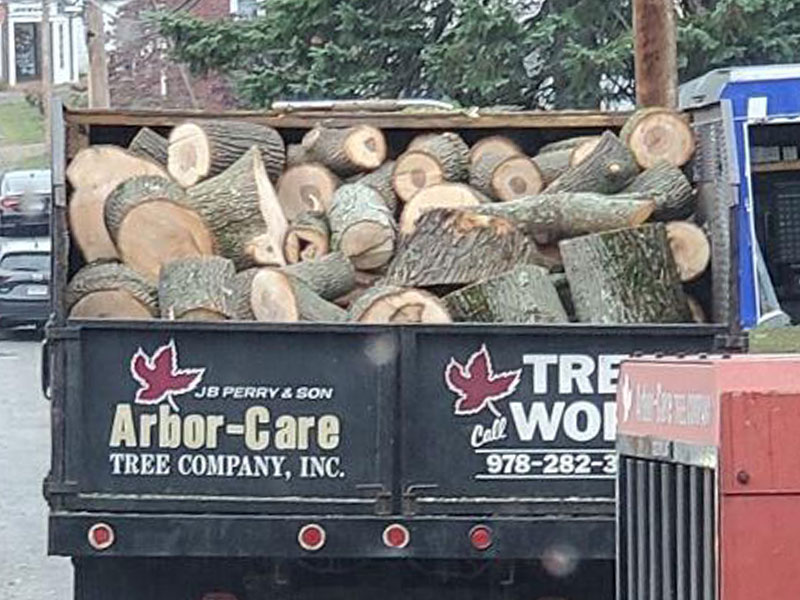 Firewood JB Perry's Arbor Care Tree Co, Inc.