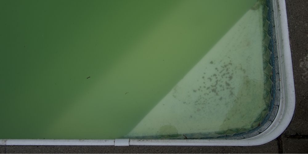 How to Remove Algae from Pool Walls 4 Easy Steps to Follow