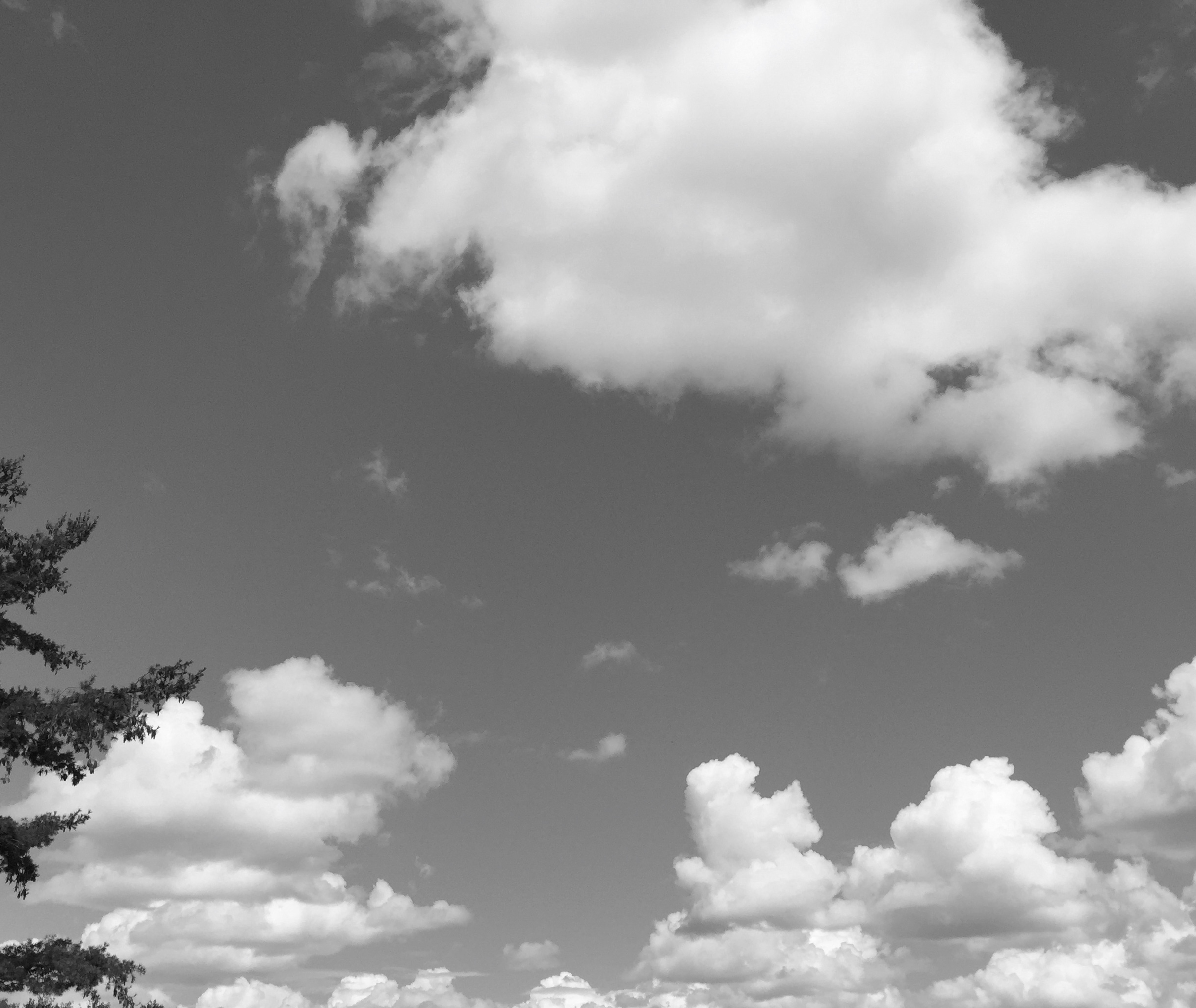 The Mystery of Meaning Jeff Brunson