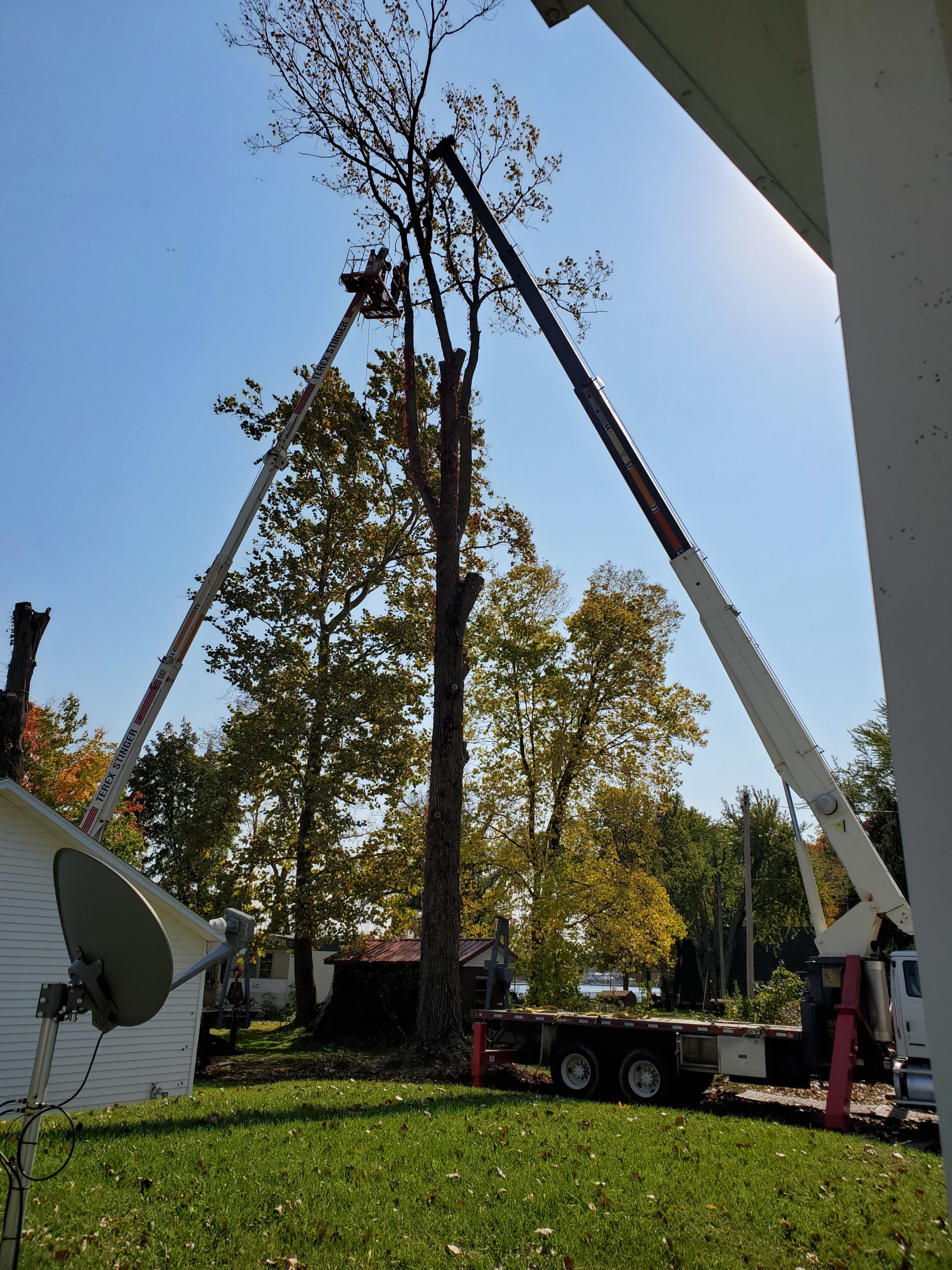 Gallery JC & Sons Tree Service
