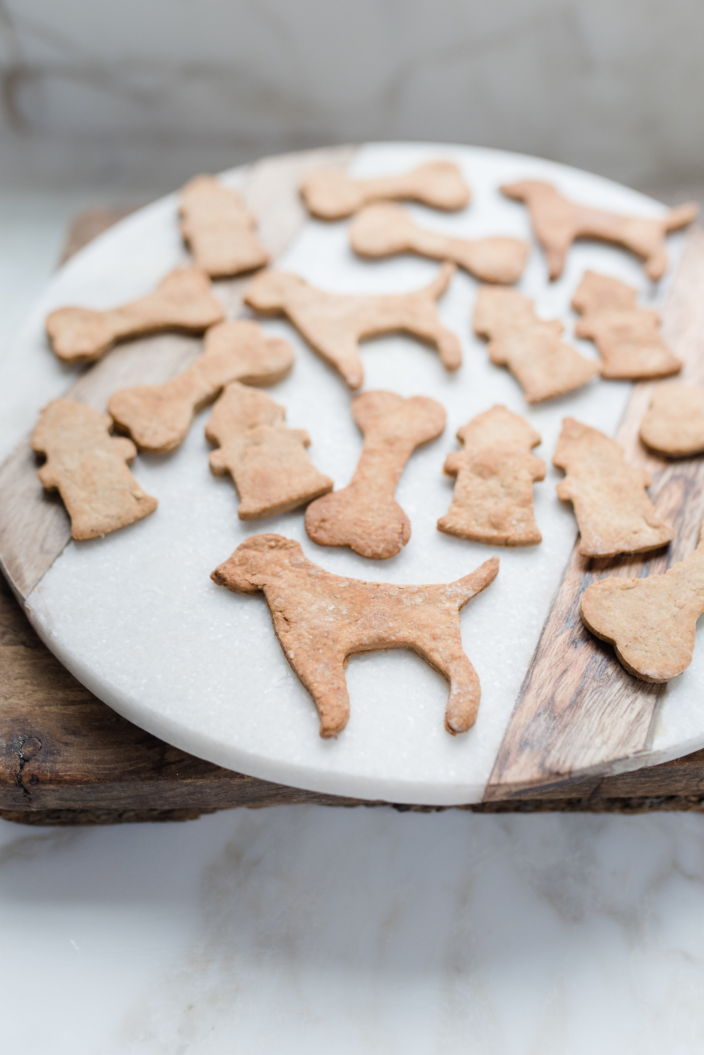 Dog Biscuits Holder at Ethel Robles blog