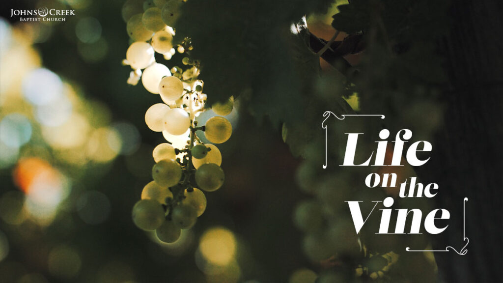 Message "Life On the Vine What We Really Want in the End" from Dr