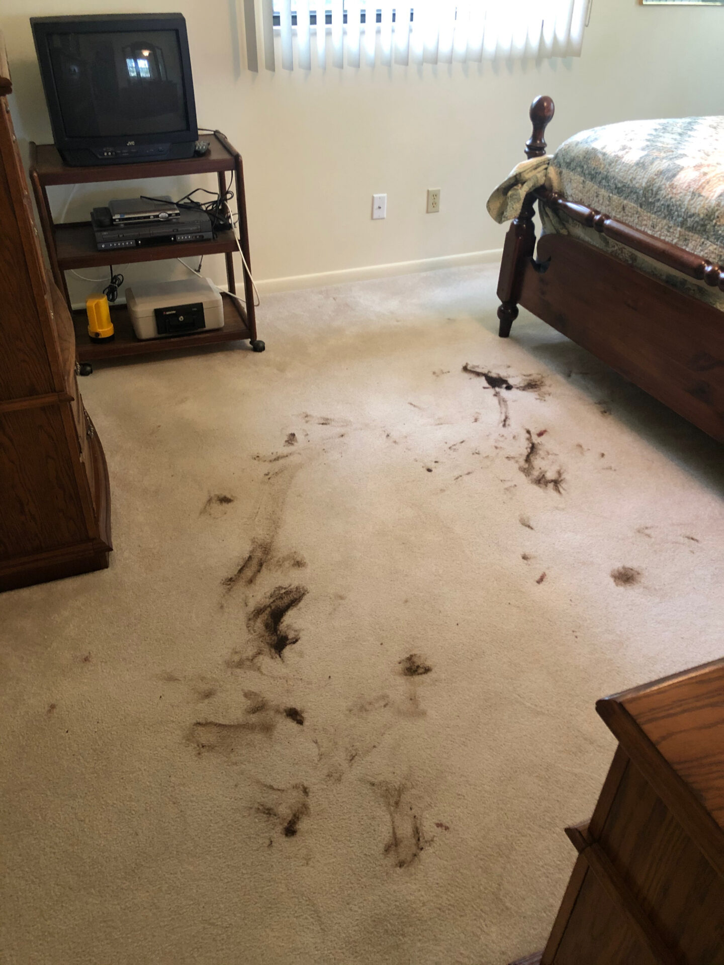 Photos Julington Creek Carpet Care