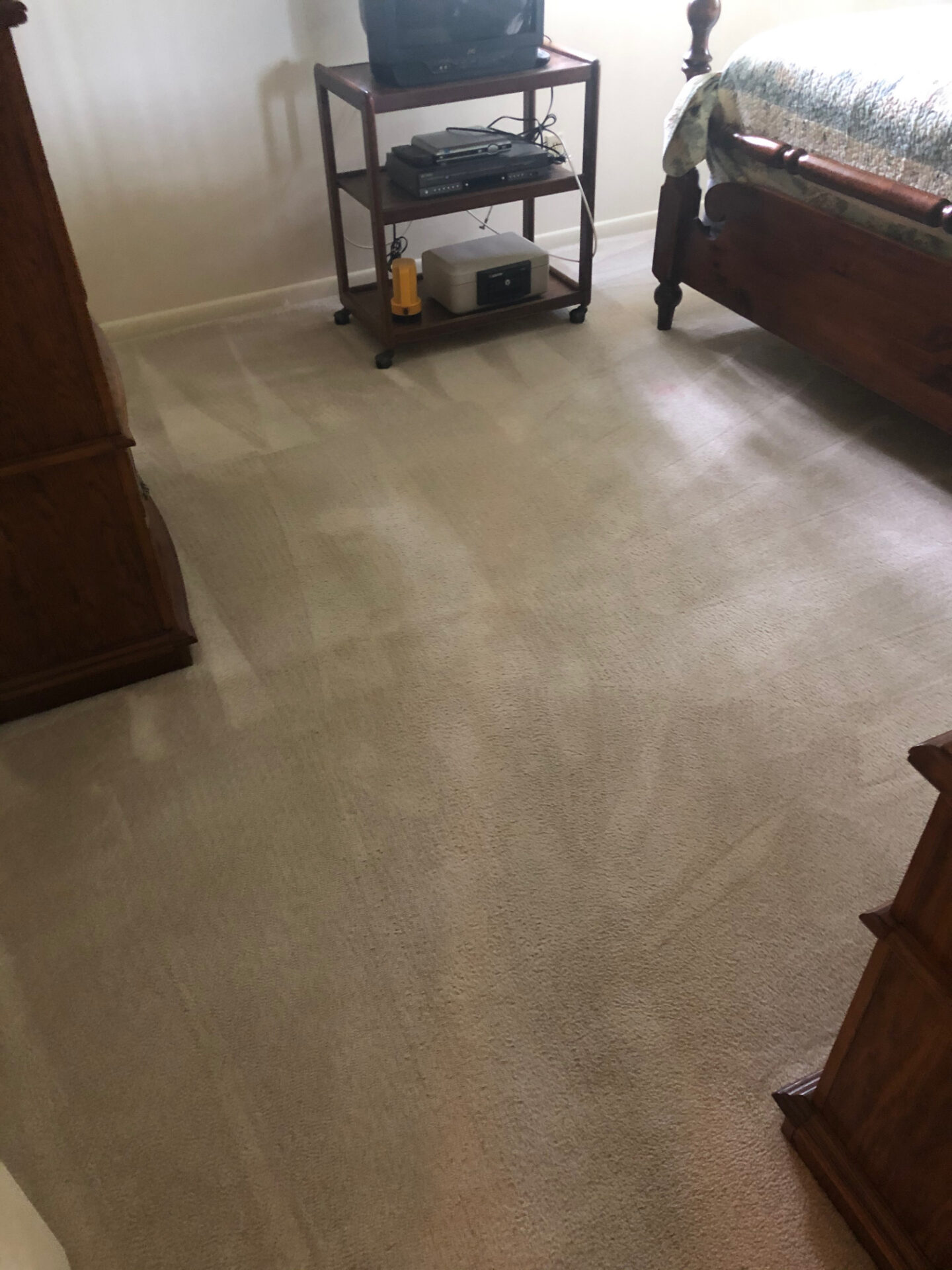 Photos Julington Creek Carpet Care