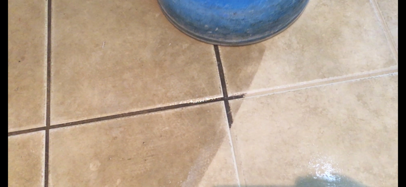 Photos Julington Creek Carpet Care