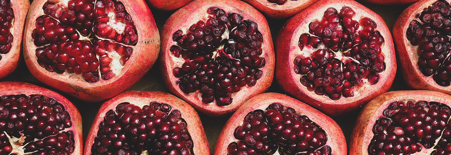 18+ will deer eat zucchini plants SeameenDeklyn