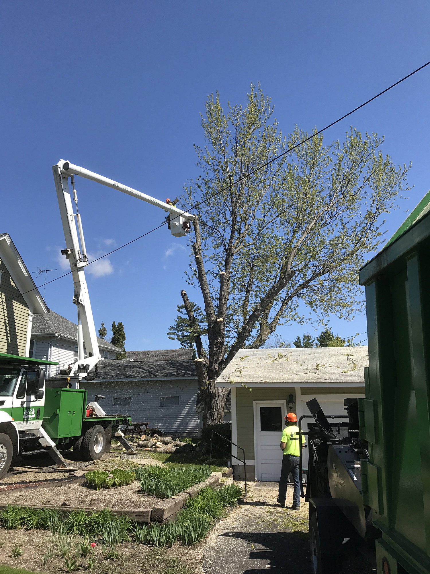 Tree Removal JCE Tree Service